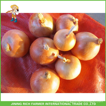 Chinese Yellow Onion FOr Sale 7CM